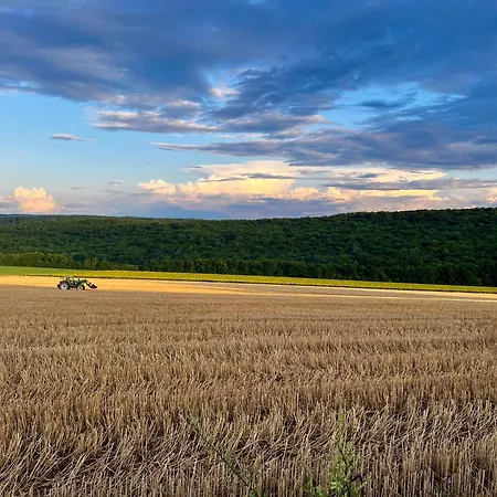 Aux Lofts De Verdun *