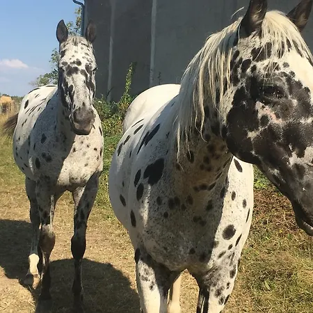 Appartement Aux Lofts De