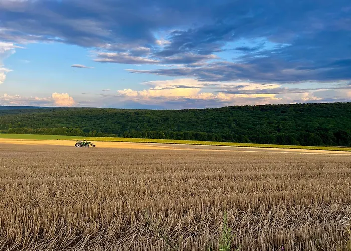 Aux Lofts De Verdun *