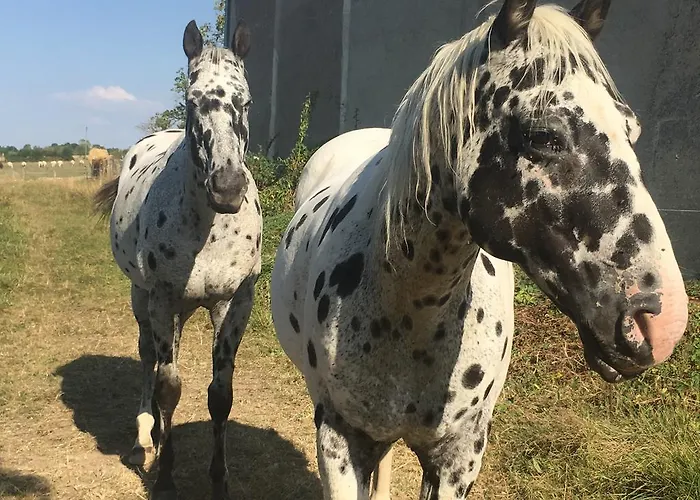 Appartement Aux Lofts De